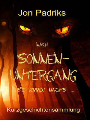 cover image of Nach Sonnenuntergang